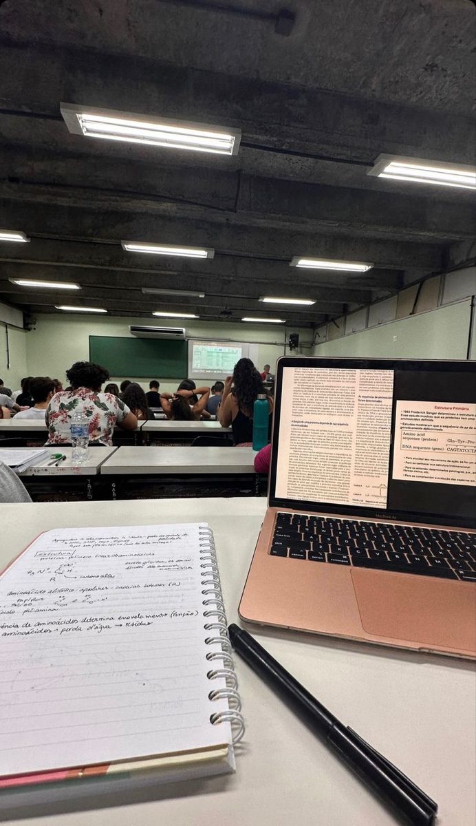 Como se preparar para um novo semestre