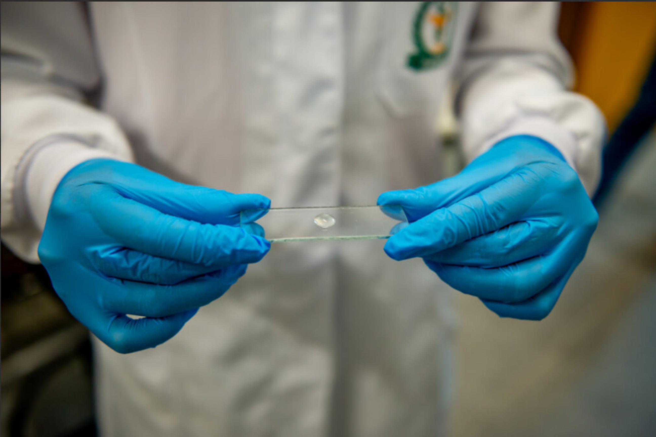 Universidade Federal do Paraná produz modelo de pele humana que amplia opções fora dos testes cosméticos em animais