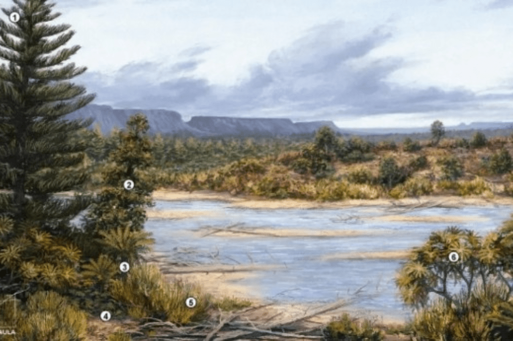 Floresta cearense abriga árvores&nbsp;milenares