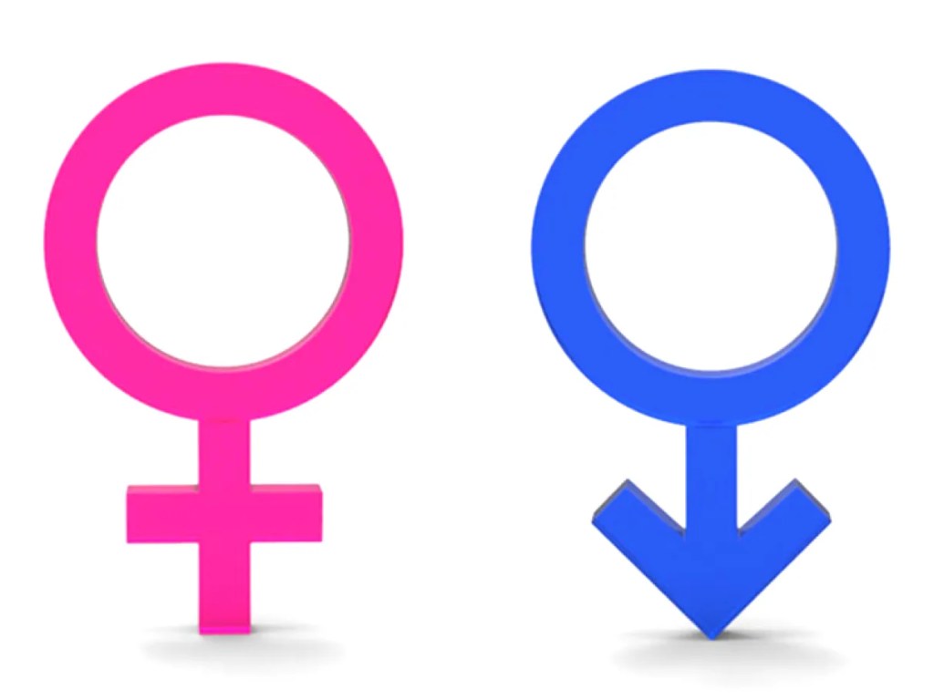 Os gostos femininos e sua constante&nbsp;desvalorização